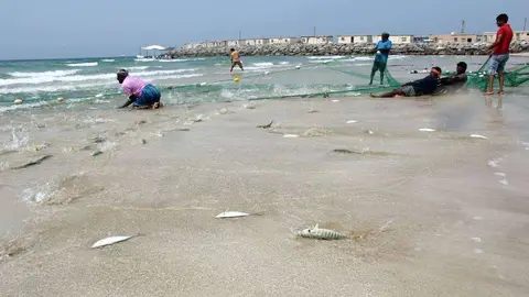 Pescadores recogen sus capturas en la playa de Sha'am, en el norte de Ras Al Khaimah. (R. Pérez)
