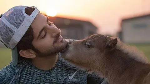 El jeque Hamdan con su potro.