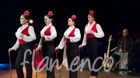 Fotografías del espectáculo 'Flamenco Journey' (Flamenco Art & Entertaiment)