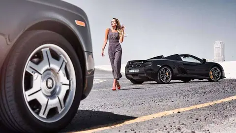 Una imagen a modo ilustrativo. (Arabian Gazelles)