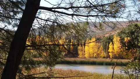 La OMS aconseja a los países reducir la contamincación. (EL CORREO)