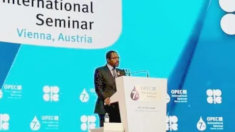 Un momento del Seminario OPEP en Viena.