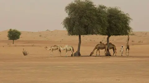 Perspectiva del desierto en el emirato de Dubai. (EL CORREO)
