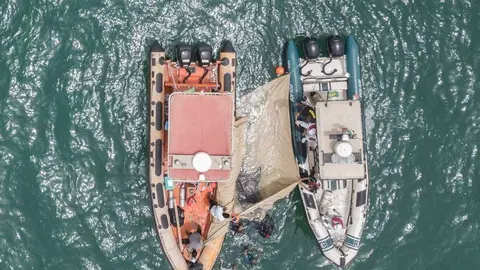 Los funcionarios ayudan al tiburón en el Dubai Creek.