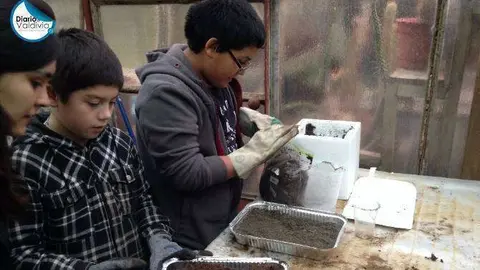 Los estudiantes chilenos.