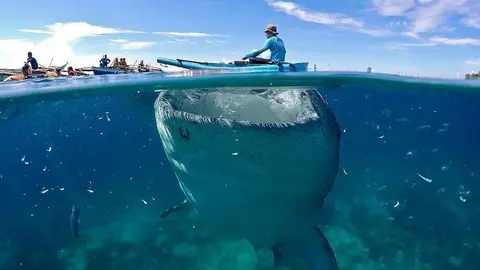 Cebu, Filipinas, foto ganadora en la edición de 2017. (Guillermo Nogueira) 