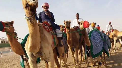 Caravana de camellos en el desierto de Abu Dhabi. (EL CORREO)