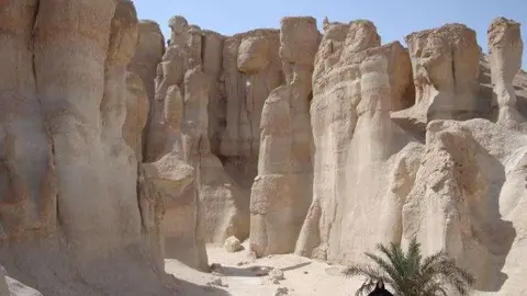 Al Ahsa, situado en el este de Arabia Saudíita.