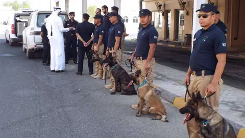 Una imagen de los perros aduaneros junto a sus entrenadores.