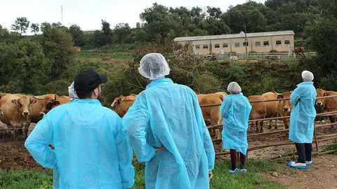 Los integrantes de la expedición de Provacuno procedentes de Emiratos Árabes, en la explotación ganadera del Grupo Viñas. (Cedida)