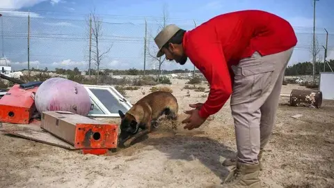 La unidad de perros de la policía de Dubai ayuda a los oficiales a resolver crímenes. (Victor Besa / The National)