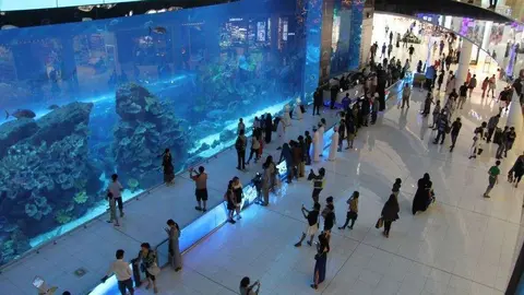 Perspectiva del acuario del Dubai Mall. (EL CORREO)