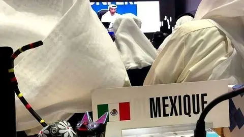Posición de México en la XX Conferencia de la Unión Internacional de Telecomunicaciones que se desarrolla en Dubai. (@Fer_Borjon)