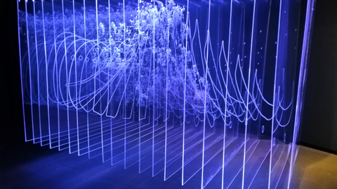 Una de las obras de Diego Moya. (Cedida)