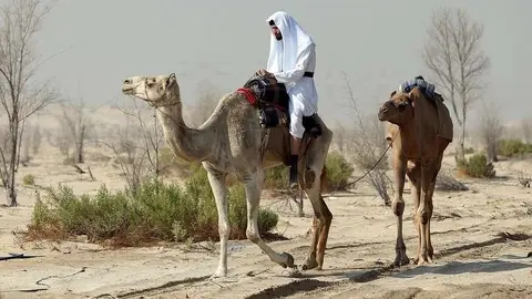 En la imagen de The National, el aventurero estadounidense.