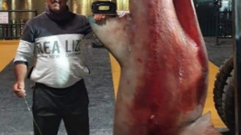 El pescador mostró su captura en las redes sociales.