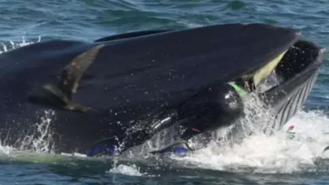 En la captura de pantalla del vídeo se observan las piernas del buzo.