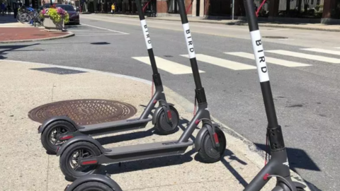 A modo ilustrativo scooters eléctricos. (Fuente externa)