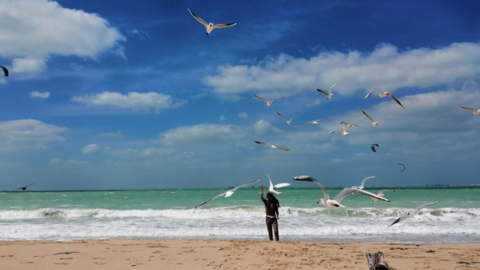 Aguas agitadas en Kite Beach de Dubai. (EL CORREO)