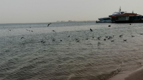 Una imagen del Mar Arábigo. (EL CORREO)