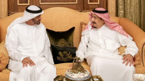 El príncipe heredero de Abu Dhabi junto al Rey Salman de Arabia Saudita.