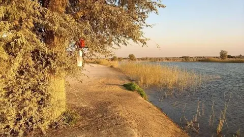 Una trampa para mosquitos en el lago Al Qudra de Dubai. (Jeremy Camp)
