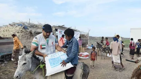 Reparto de ayuda en Yemen. (WAM)