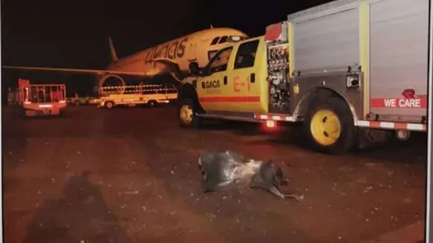Restos del misil cerca de un avión en el aeropuerto saudí atacado.