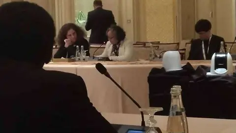 Lucía Ruiz, en el encuentro del clima de Abu Dhabi. (EL CORREO)