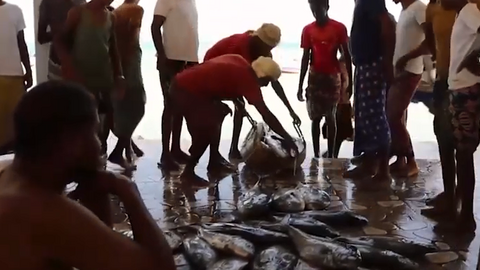 Nuevas instalaciones pesqueras en Yemen.(WAM)