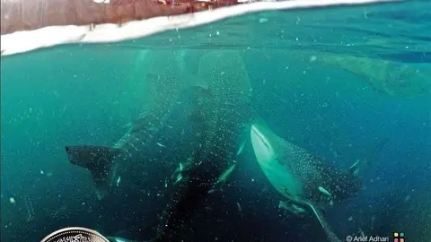 Fotografía ganadora del galardón del público del Premio Internacional de Fotografía Hamdan bin Mohammed bin Rashid Al Maktoum en abril, obra de Arief Adhari.