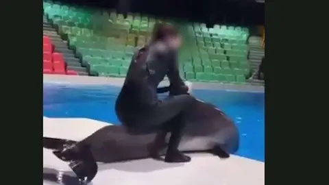 Una captura de pantalla del vídeo difundido.