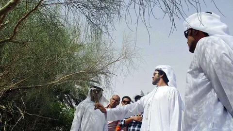 Funcionarios de Abu Dhabi inspeccionan plantas autóctonas. (WAM)