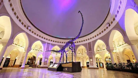 Esqueleto del dinosaurio a subasta en Dubai. (WAM)