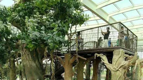 Visitantes recorren el Parque Coránico de Dubai. (Google Maps)