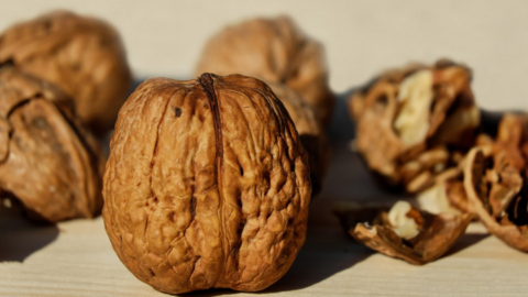 Nueces sudamericanas son muy preciadas en EAU.