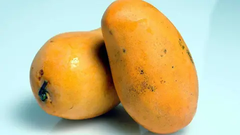 Los mangos robados se encuentran valorados en seis dirhams. (Fuente externa)