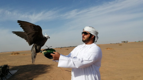 Una imagen de un emiratí sosteniendo a su halcón. (EL CORREO)