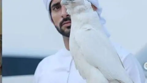 El príncipe heredero de Dubai junto a un halcón. (Instagram)