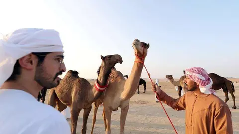 Festival de Al Dhafra en Abu Dhabi. (WAM)