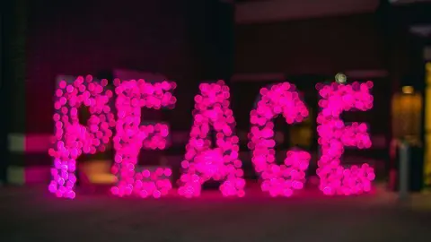 Paz y tolerancia, serán los temas de discusión. (Pexels.com)