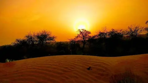 Desierto de Emiratos Árabes Unidos. (EL CORREO)