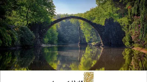 M&aacute;s de diez millones de &aacute;rboles ser&aacute;n sembrados en el mundo por parte de EAU. (Martin Damboldt. Pexels.com)