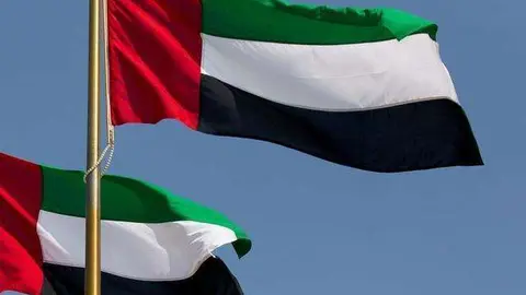 Banderas de Emiratos Árabes Unidos. (Fuente externa9