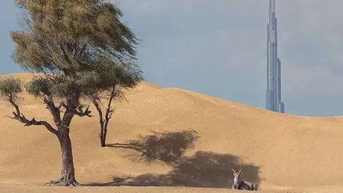 Una imagen de Dubai con el Burj Khalifa de fondo. (Instagram)