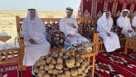 El presidente de EAU junto al príncipe heredero de Abu Dhabi. (WAM)