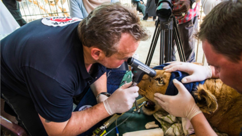 Los voluntarios, en Sudán.