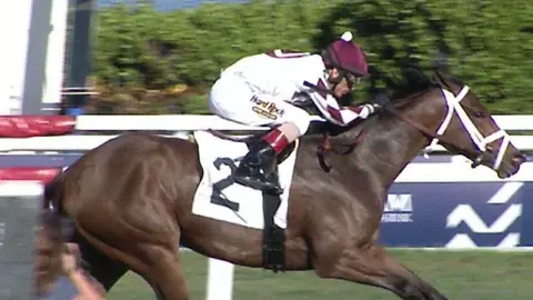 El jinete portorriqueño durante una carrera. (Twitter)