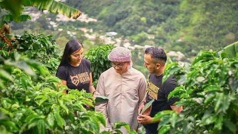 Representantes de Harvest Season colombianos y emiratíes examinan los granos en las fincas productoras. (Cedida)