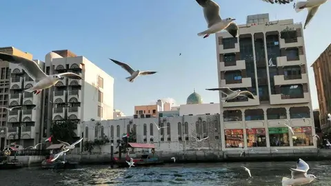 A modo ilustrativo, la zona de Deira en Dubai. (EL CORREO)